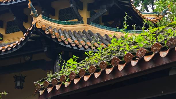istock Greenery on the eaves of a Chinese building 2151519876