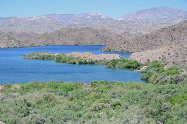 istock Lake Mohave in Arizona, USA 2151520514
