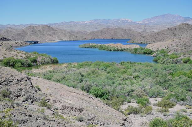 istock Lake Mohave in Arizona, USA 2151520537