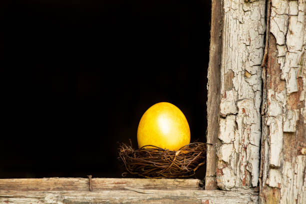 A golden chicken egg in a nest stands on a broken window in a house in Ukraine on the street, Easter holiday A golden chicken egg in a nest stands on a broken window in a house in Ukraine on the street, Easter holiday in Ukraine best gold ira gold stock pictures, royalty-free photos & images