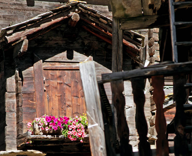 istock suisse alpin Lifestyle 2151521597