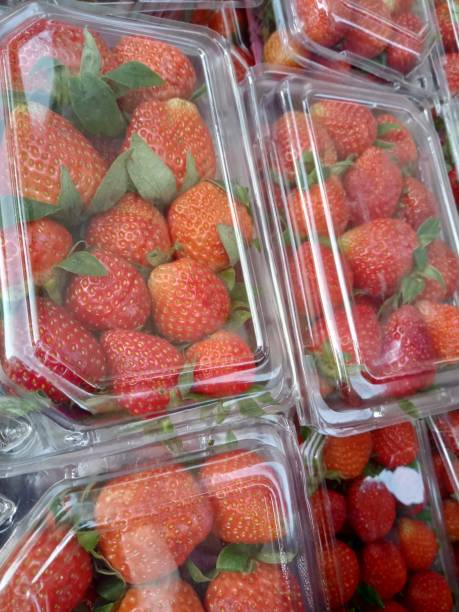 istock wrapped strawberries for sale 2151521818