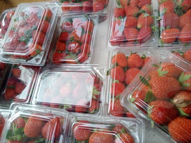 istock wrapped strawberries for sale 2151521878