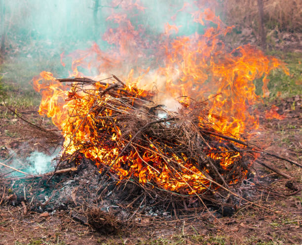 istock Burning firewood in a campfire, close-up 2151522289