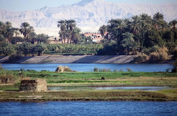 istock Landscape along the Nile river between Luxor and Aswan, Egypt 2151523258