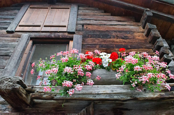 old wooden houses with flowers