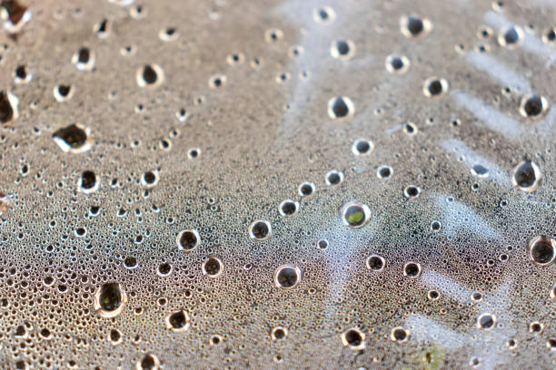 Raindrops on white plate background