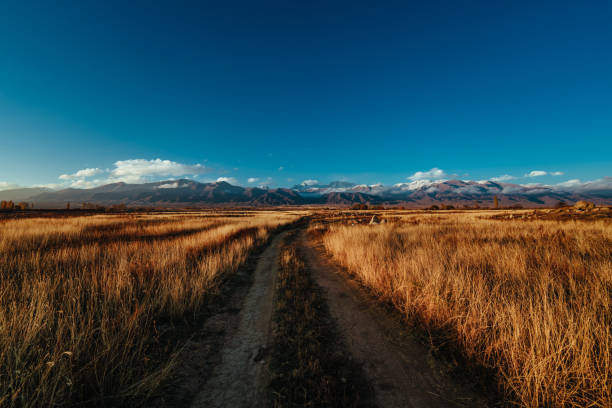 istock Road through field in the countryside on mountains background 2151531548