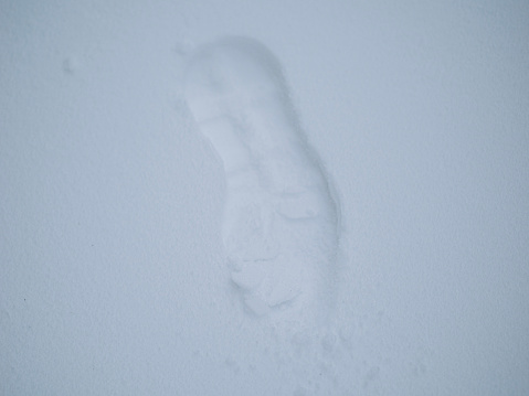footprint on snow winter time directly above