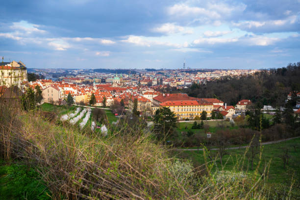 istock Flowering almond tree in Strahov garden, Prague. 2151535093