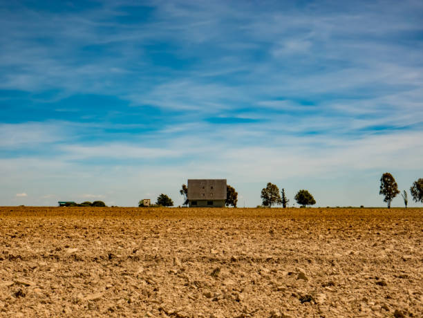 Wide green meadow with scattered houses and trees on the horizon, rural landscape under cloudy sky in peaceful countryside.