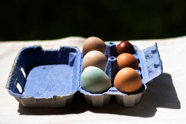 istock Hen eggs of different colours in a cardboard container 2151541490