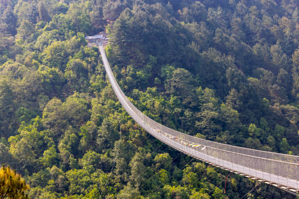 istock Gandaki Golden Bridge 2151546095