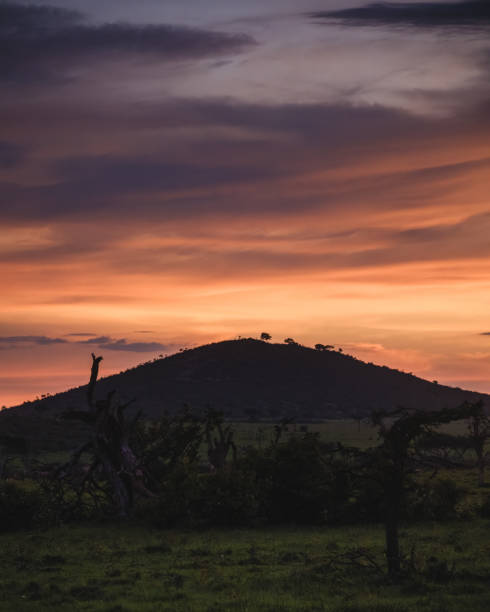 Dramatic sunset over Masai Mara, colorful sky and acacia trees