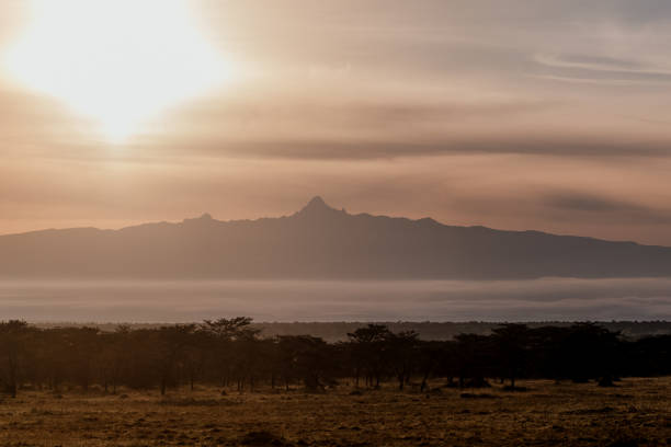 istock Dawn breaks over misty Ol Pejeta with Mount Kenya 2151548575