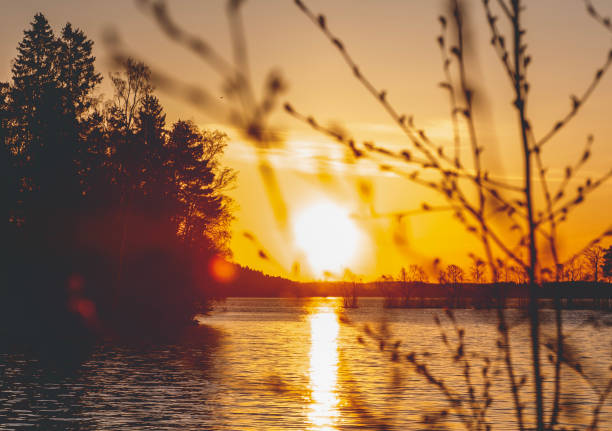 Sunset over the lake. Tree branches with buds and young leaves. Lake Vesijärvi Lahti Finland