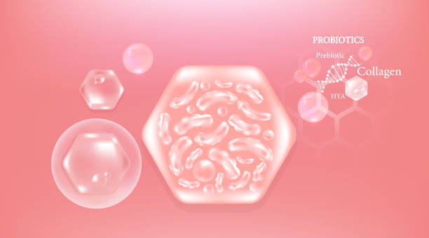 istock Probiotic and Hyaluronic acid skin solutions ad, pink collagen, and vitamin serum drop with cosmetic advertising background ready to use illustration vector. 2151549685