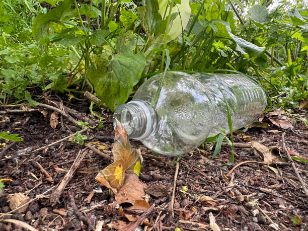 istock Discarded plastic waste on a country trail 5 (series) 2151553416
