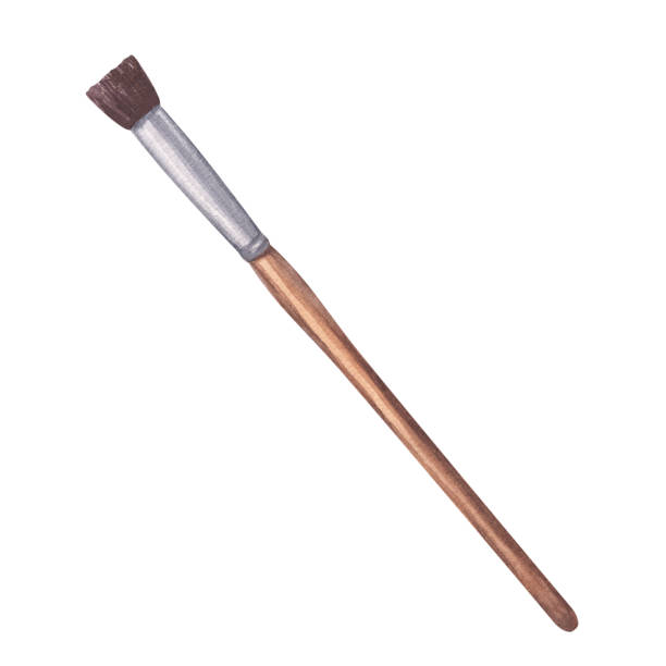 istock Flat paintbrush artist's tool for coloring. Art accessories. School supplies. Wooden handle and synthetic or squirrel bristles. Hand drawn watercolor illustration isolated background 2151553544