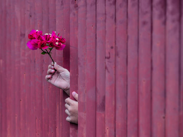 A hadd holding flowers through steel bars