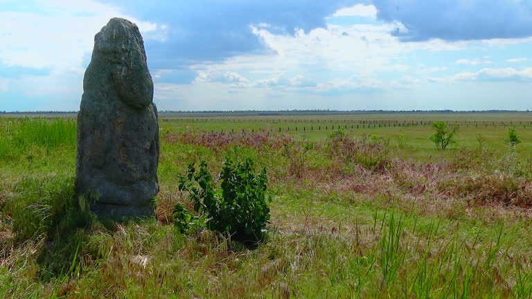 Stone statue on the background of the sky and the Ukrainian steppe