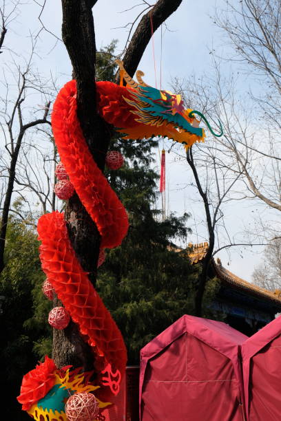 Chinese Dragon Lantern