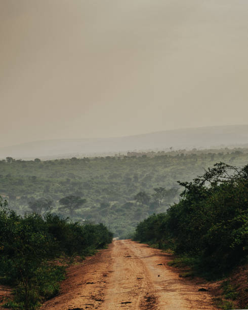 Dusty road stretching into the distant hills of Uganda