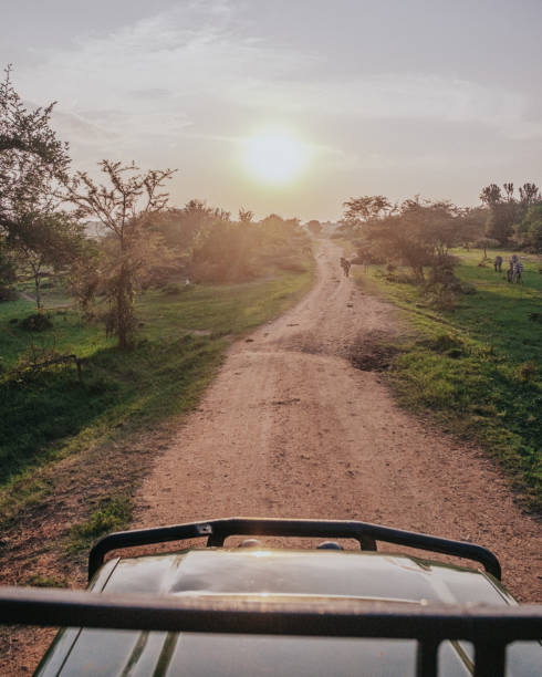 istock Dusty road stretching into the distant hills of Uganda 2151571894