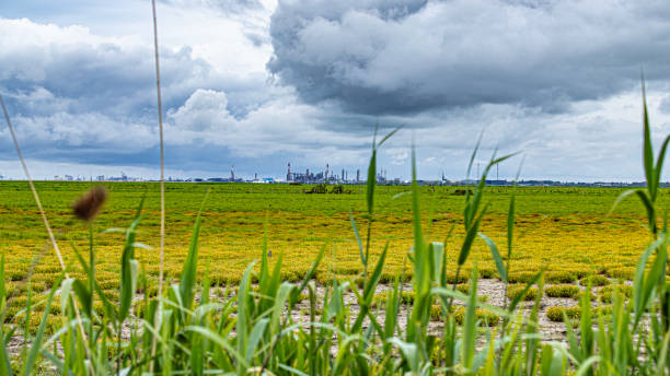 istock Loire river estuary close to saint Nazaire 2151573692
