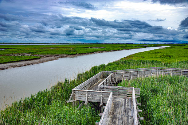 istock Loire river estuary close to saint Nazaire 2151574572