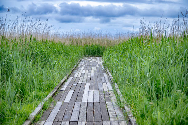 istock Loire river estuary close to saint Nazaire 2151574621