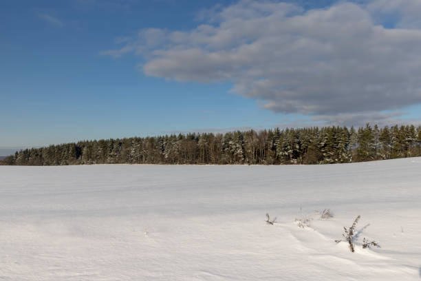 istock freshly fallen white cold snow in nature 2151579568