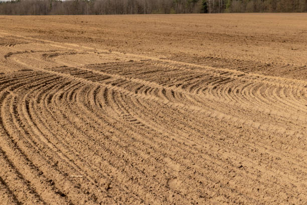 istock an agricultural field with plowed soil during spring sowing 2151579626