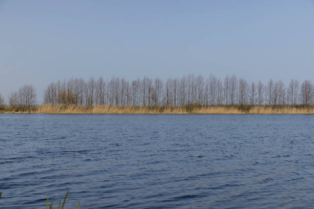 just a photo of nature