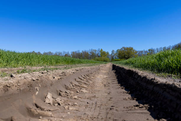 istock a road in a field with green wheat 2151579761
