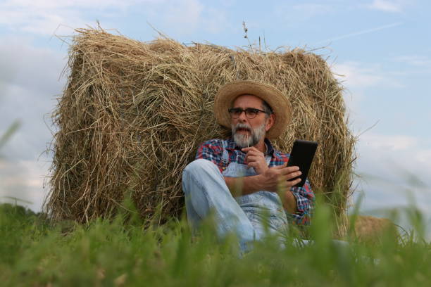 istock Mature farmer relax on green field 2151579899