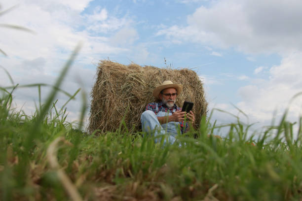 istock Mature farmer relax on green field 2151579973