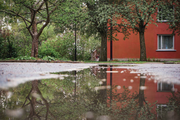 View of a puddle in front of a building