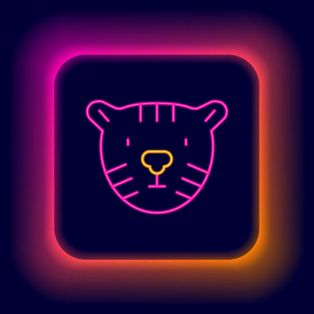 istock Glowing neon line Tiger head icon isolated on black background. Colorful outline concept. Vector 2151584165
