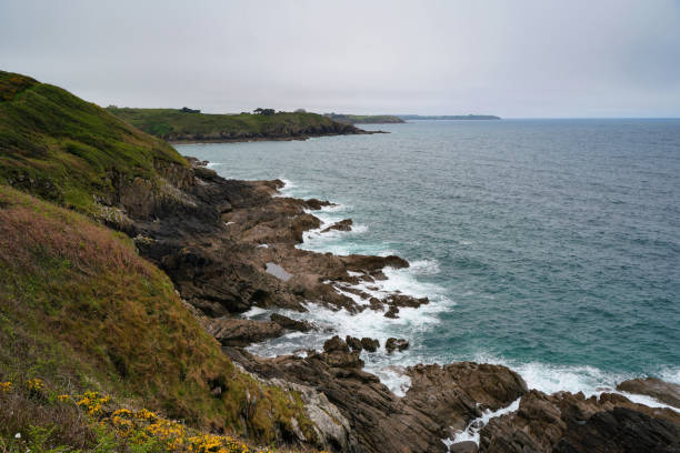 Vivid rocky coastline with turquoise waters, rugged cliffs, and boulders, enhanced by a foreground of pink wildflowers in full bloom. Ideal for nature, adventure, travel, or eco backgrounds, offering both floral and maritime textures with natural copy space.