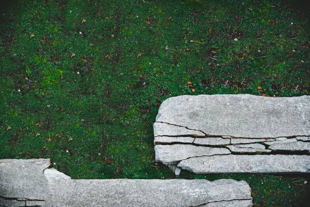 Cracked stepping stones surrounded by vibrant green grass on the forest floor. Shot from overhead, with a minimalist natural aesthetic.