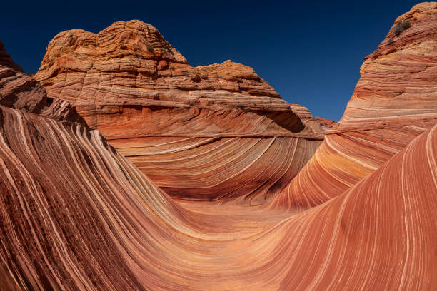istock The Wave in Northern Arizona 2151588287