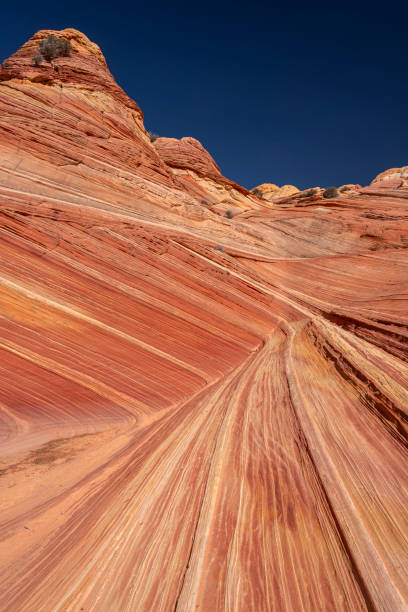 istock The Wave in Northern Arizona 2151588293