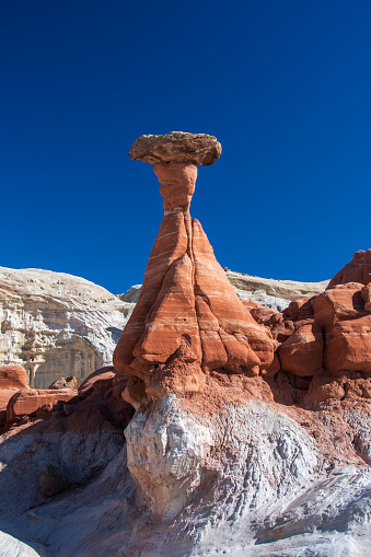 They are clusters of hoodoos, which are tall, thin rock spires that resemble mushrooms or toadstools.  These formations are created by millions of years of erosion from wind and water on soft sandstone. The wind and water wear away at the softer rock underneath, leaving the harder rock on top like a cap.  The Toadstools are found in Grand Staircase-Escalante National Monument, Utah.