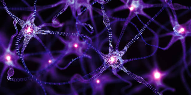 istock Digital Neurons. Biotechnology Innovation Synapse Concept Wide 2151596783