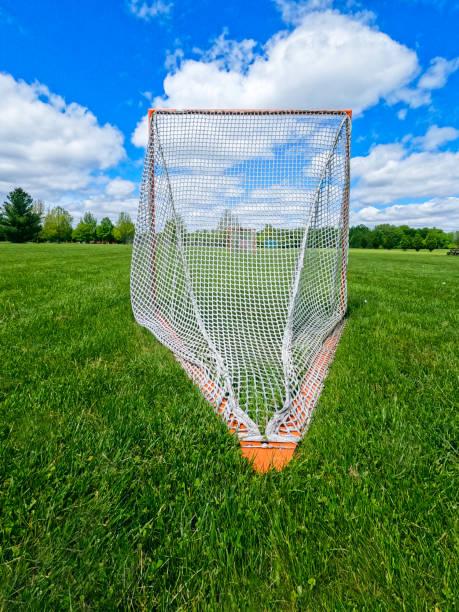 Sports Net in a Grassy Green Field