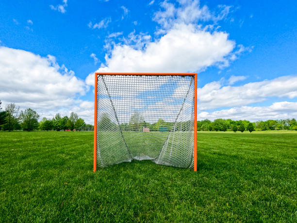 istock Sports Net in a Grassy Green Field 2151600864