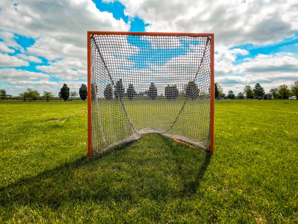 istock Sports Net in a Grassy Green Field 2151600870
