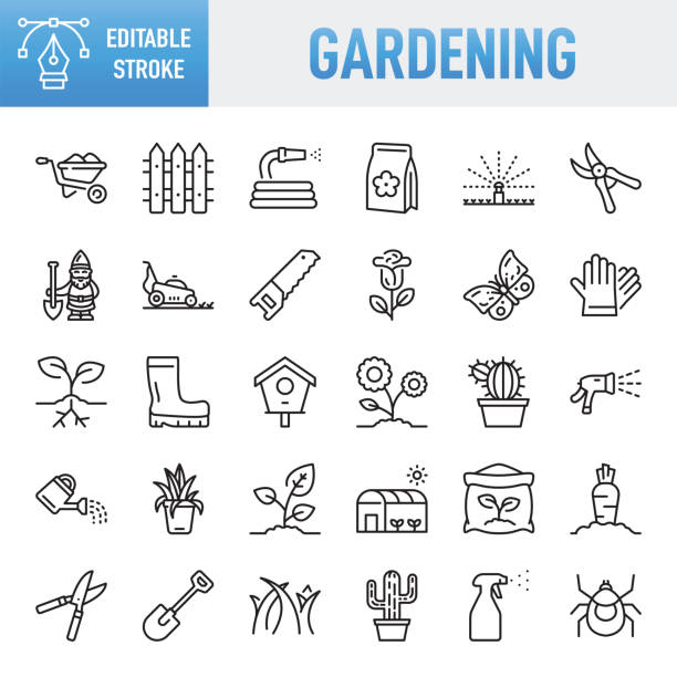 stockillustraties, clipart, cartoons en iconen met gardening - thin line vector icon set. pixel perfect. editable stroke. for mobile and web. the set contains icons: gardening, vegetable garden, plant, watering, watering can, flower, gardening equipment, grass, hose, garden hose, shovel, lawn mower, seed - slang tube