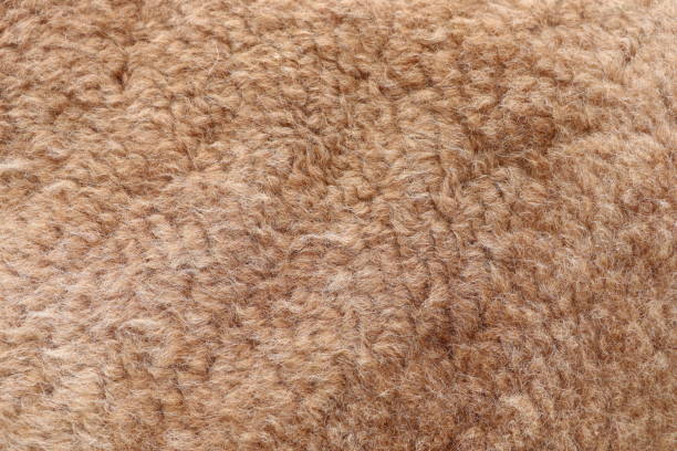 istock Closeup of a rich brown wool carpet with a textured pattern resembling fur 2151603740